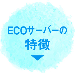 ECOサーバーの特徴